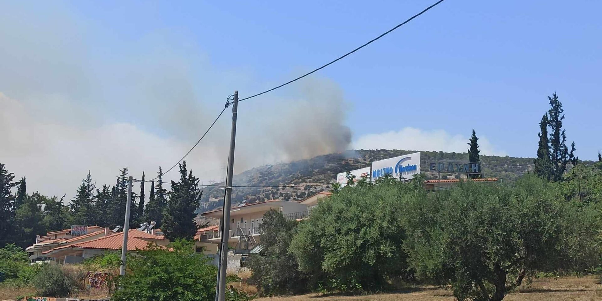 Εικόνα από τη φωτιά στο Δαφνί