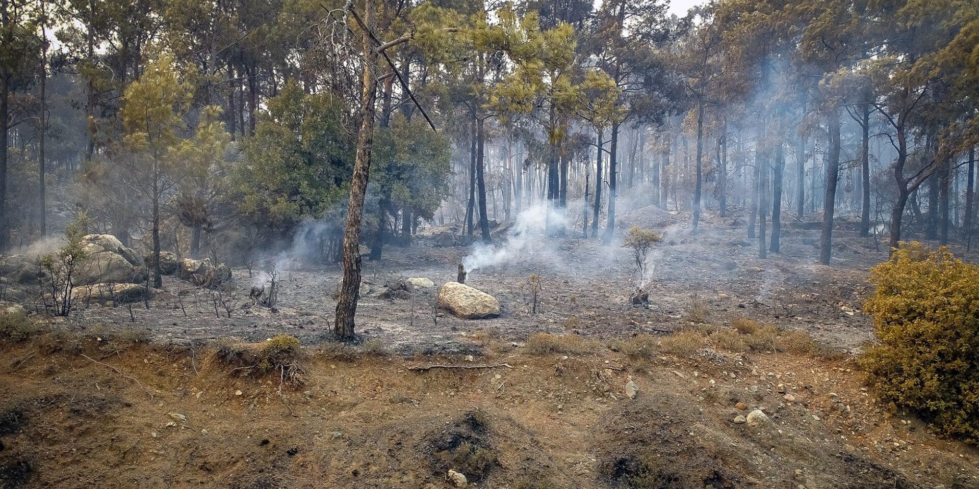 Εικόνα από τη φωτιά στη Ρόδο