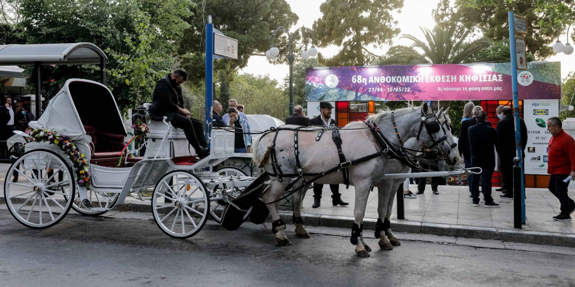 Άλογο σε άμαξα