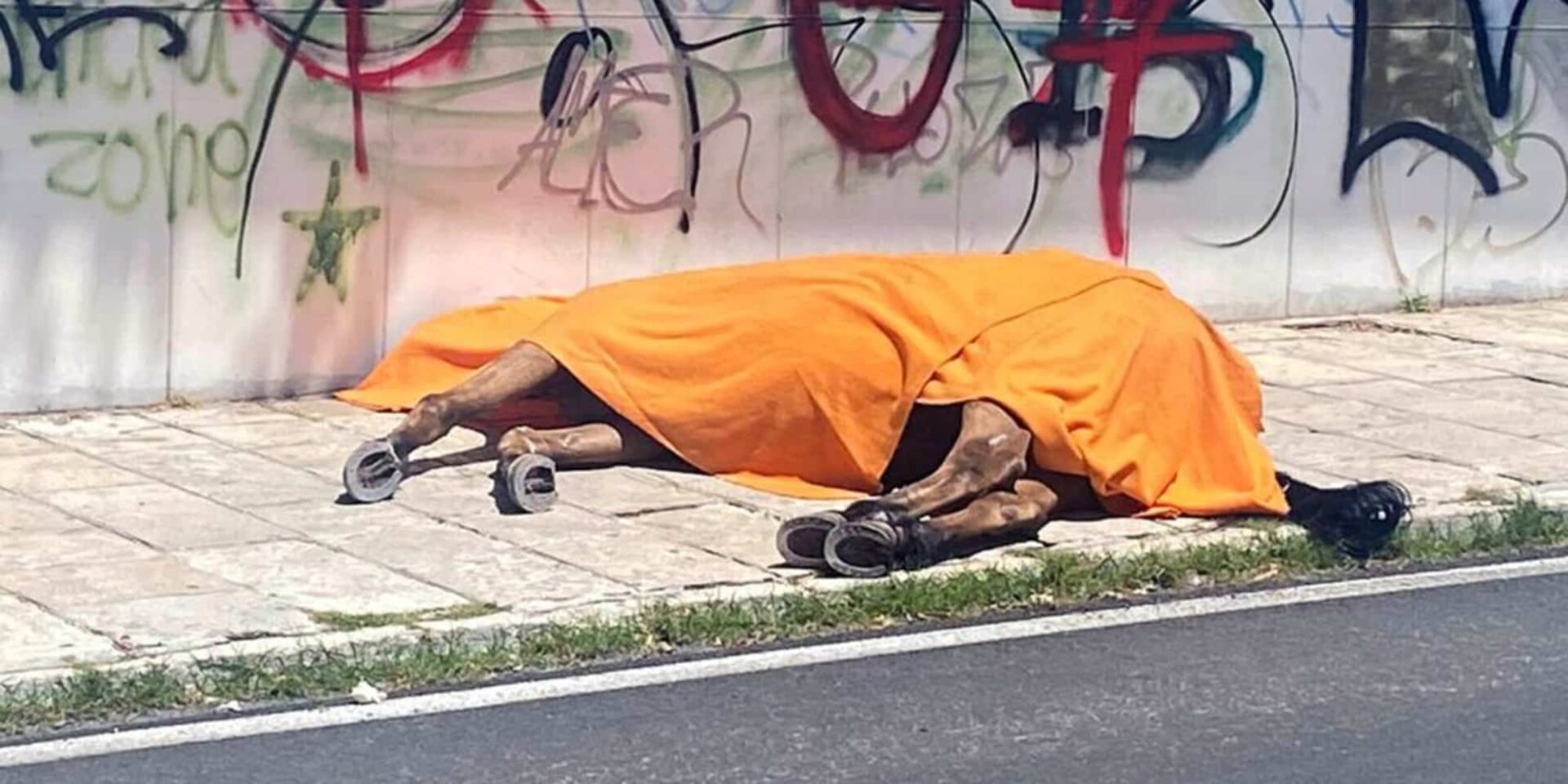 Το ξεψυχισμένο άλογο στην Κέρκυρα