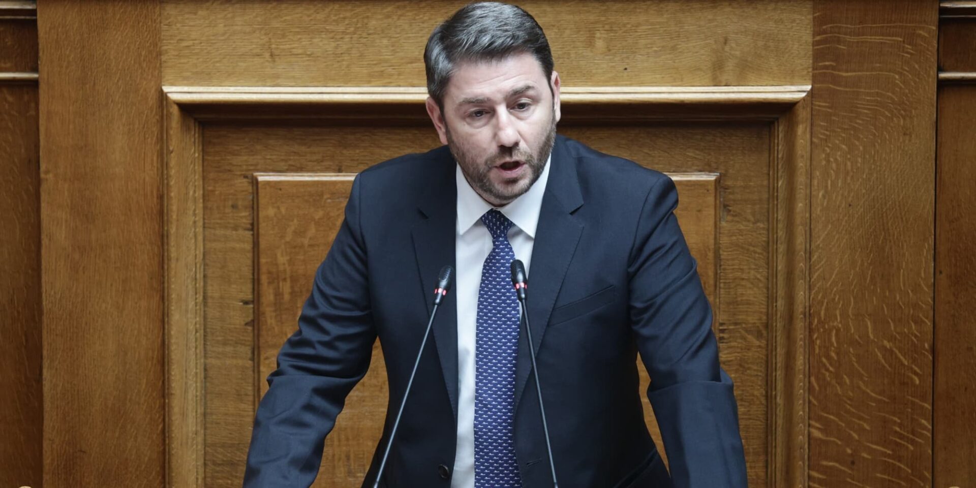 Ο Νίκος Ανδρουλάκης