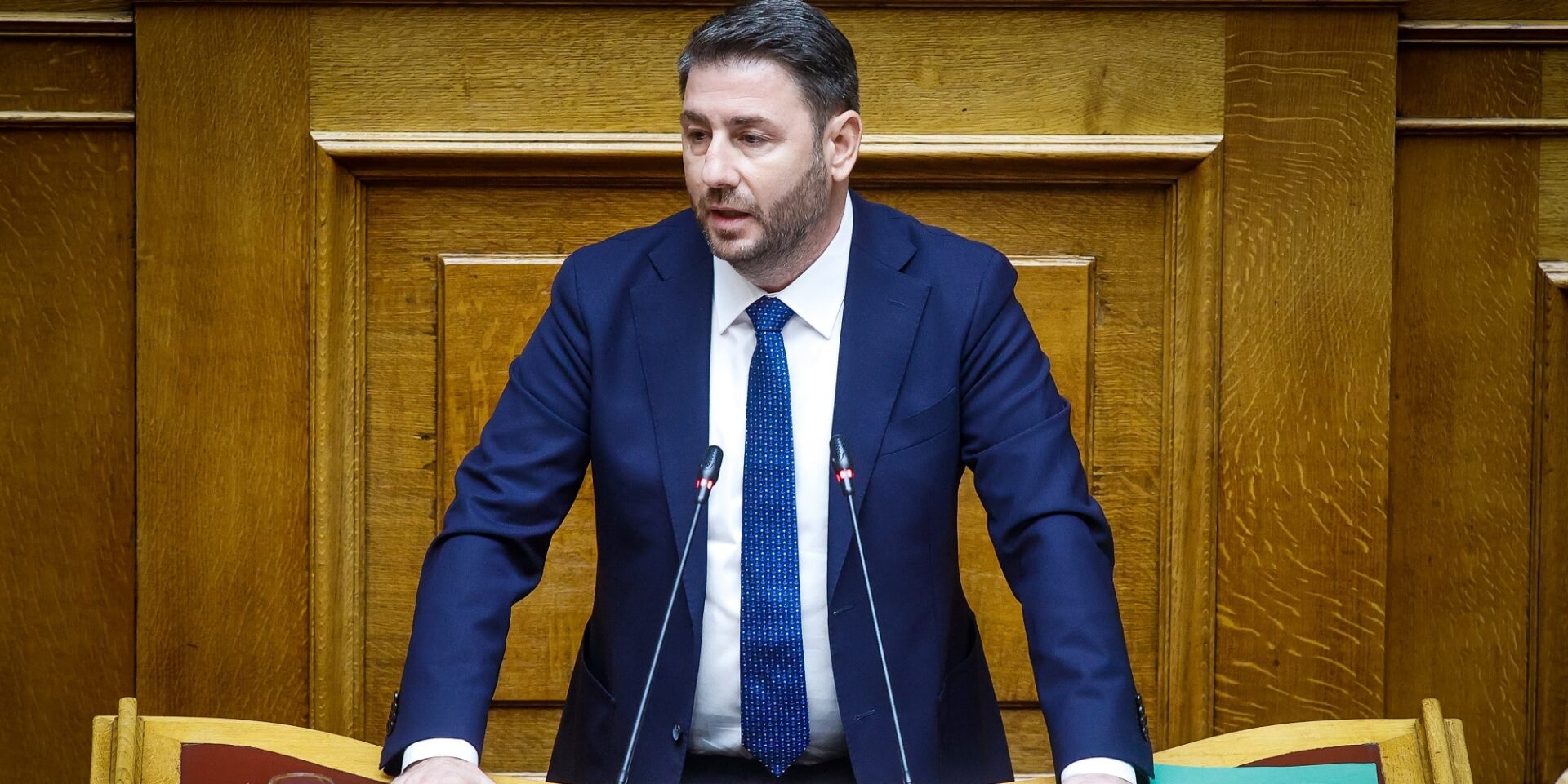 Ο Νίκος Ανδρουλάκης στις προγραμματικές δηλώσεις στη Βουλή