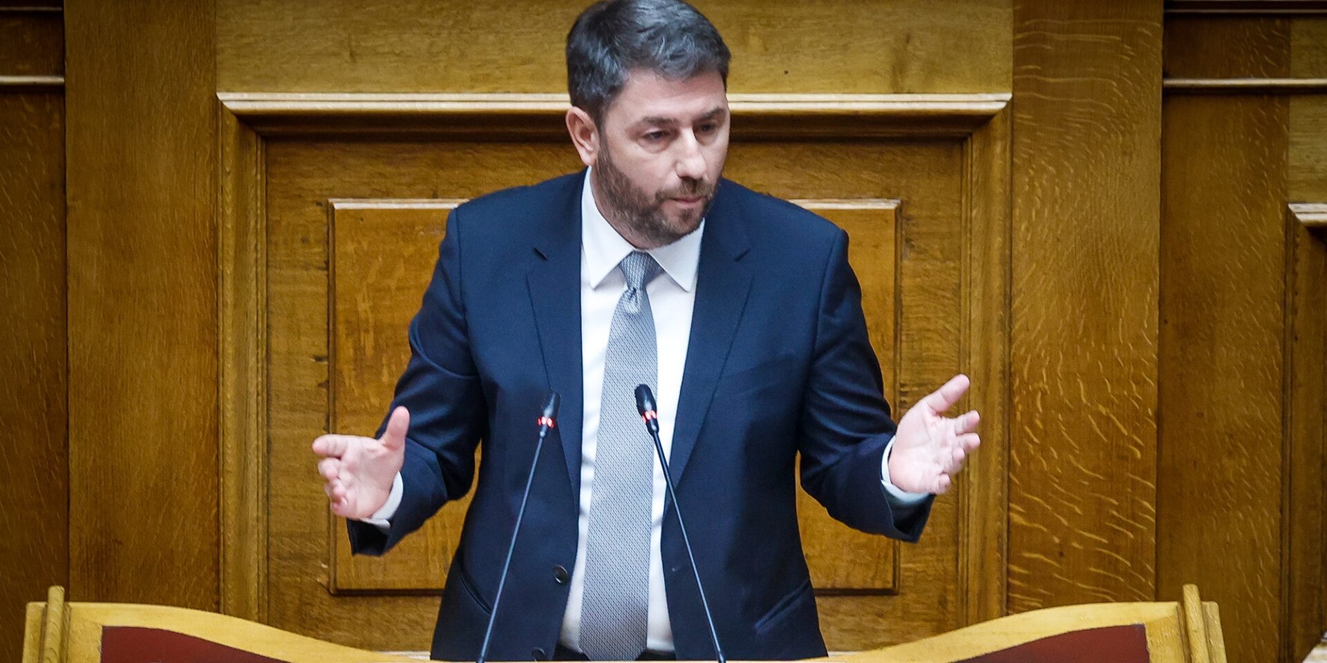 Ο Νίκος Ανδρουλάκης