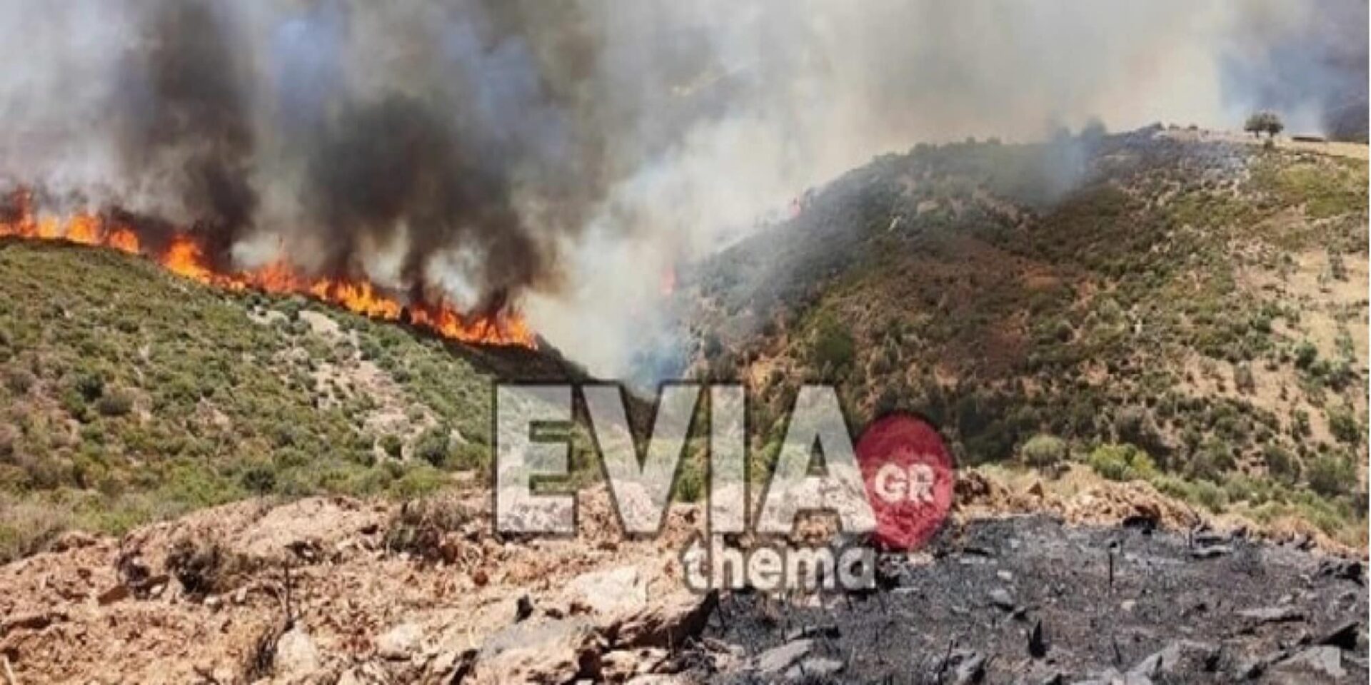 Φωτιά στην Κάρυστο