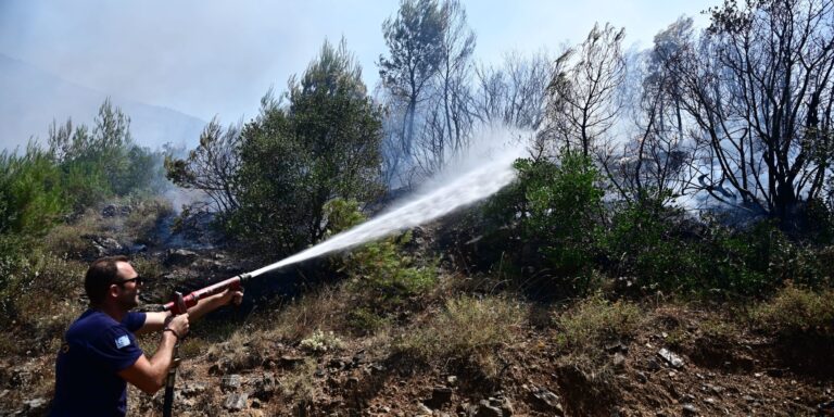 SOS εκπέμπουν οι μετεωρολόγοι λόγω του φαινομένου «Hot-Dry-Windy» – Μεγάλος ο κίνδυνος για πυρκαγιές από τις υψηλές θερμοκρασίες
