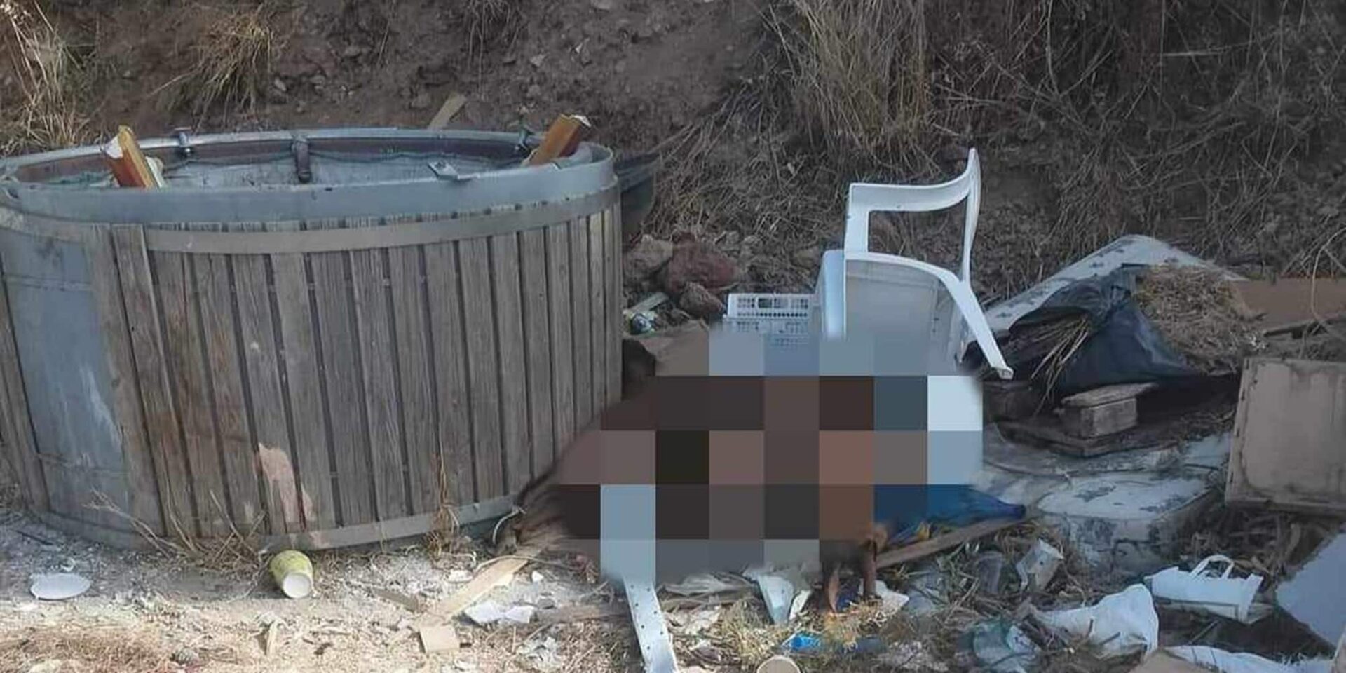 Κακοποίηση ζώου στην Κάλυμνο
