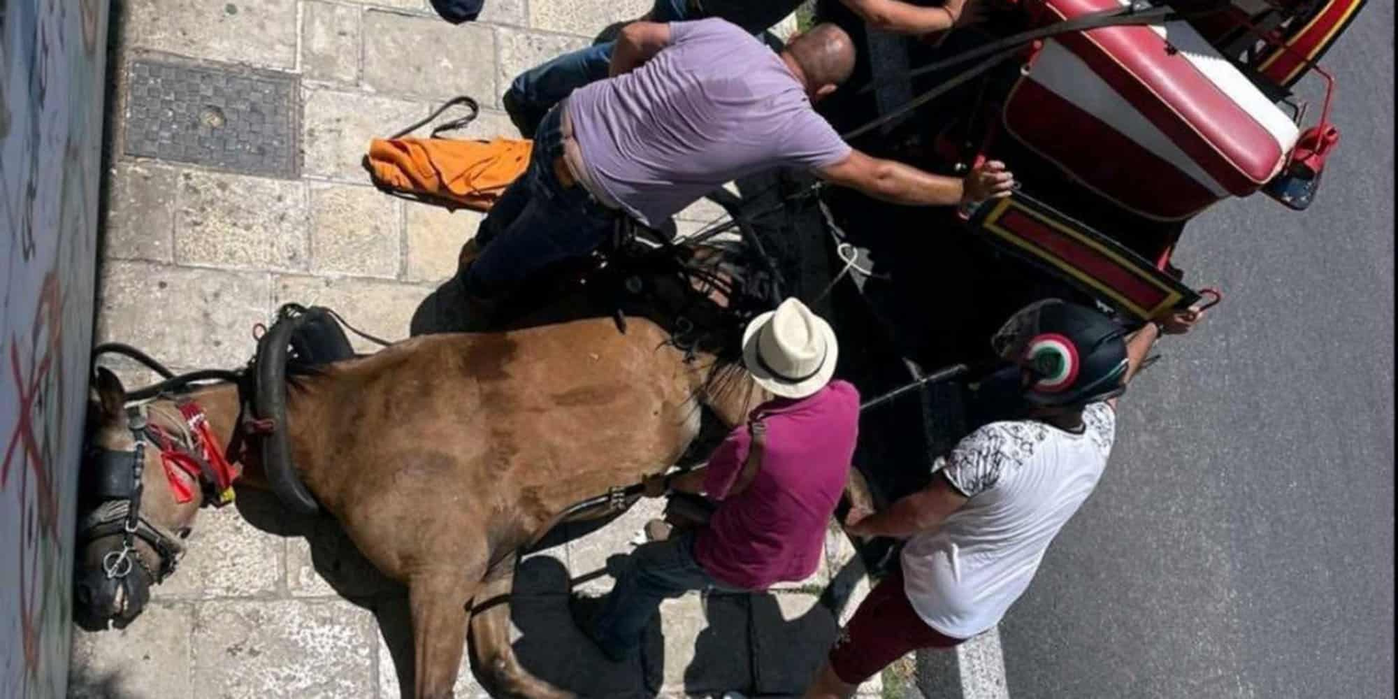 Το νεκρό άλογο στην Κέρκυρα