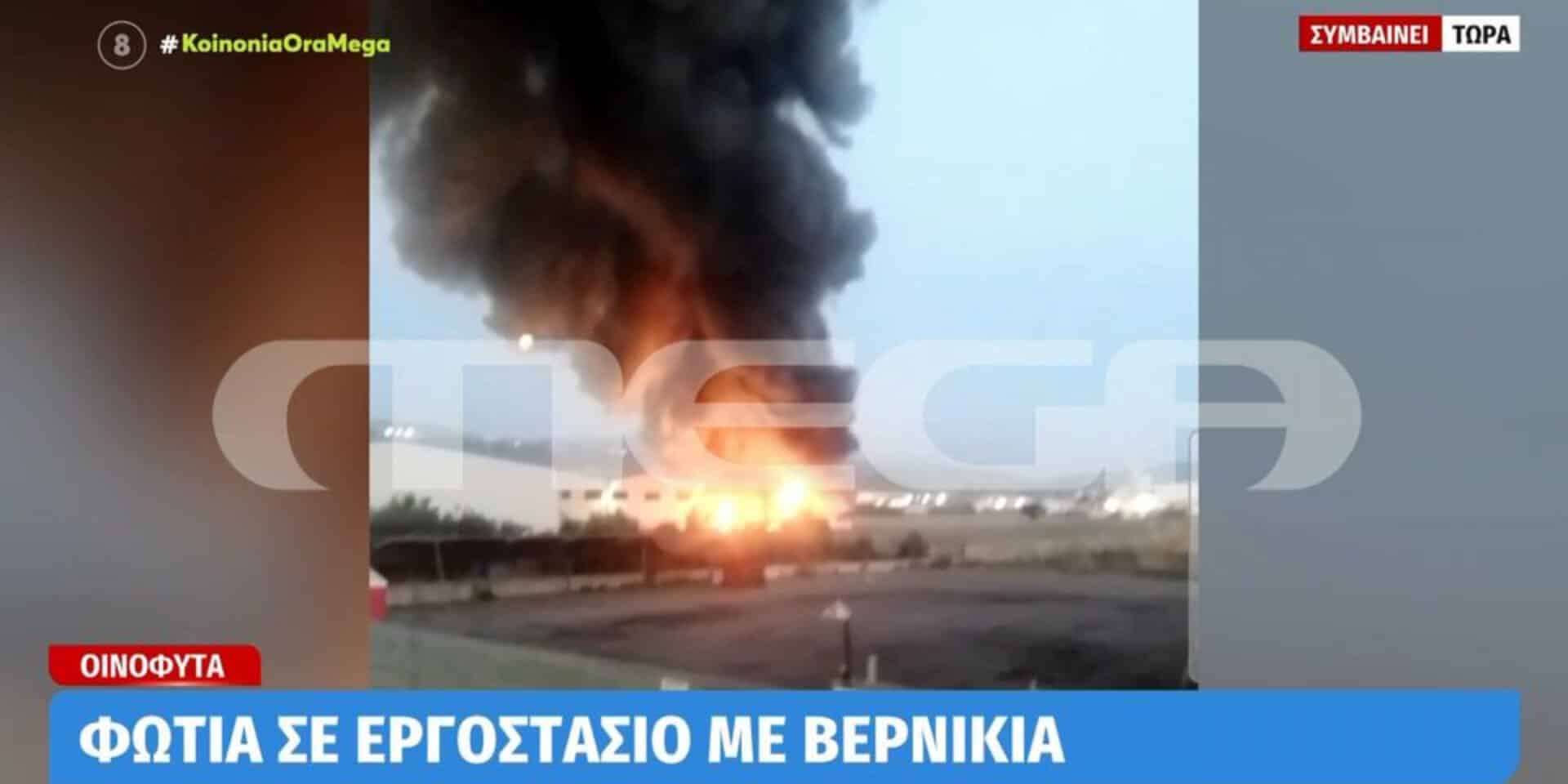 Πυρκαγιά στα Οινόφυτα