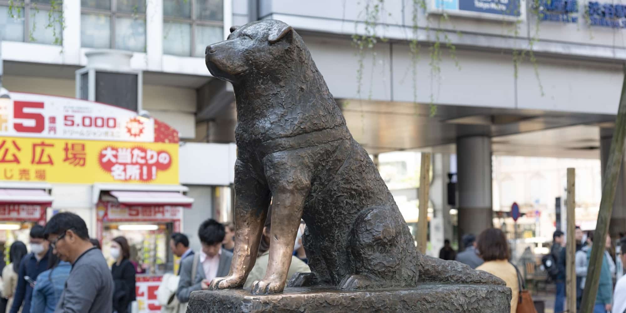 Άγαλμα του Χάτσικο στην Ιαπωνία