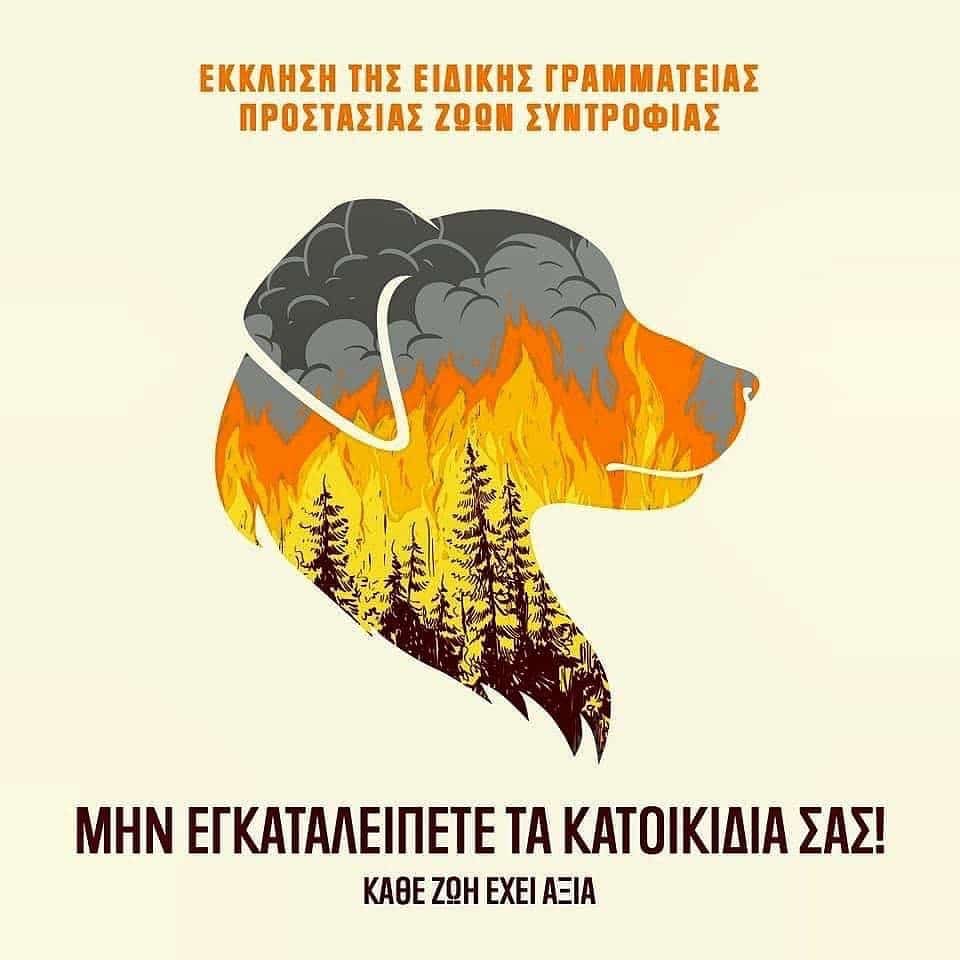 Υπουργείο Εσωτερικών για τα ζώα στις πυρκαγιές: «Μην εγκαταλείπετε τα κατοικίδιά σας - Κάθε ζωή έχει αξία!»