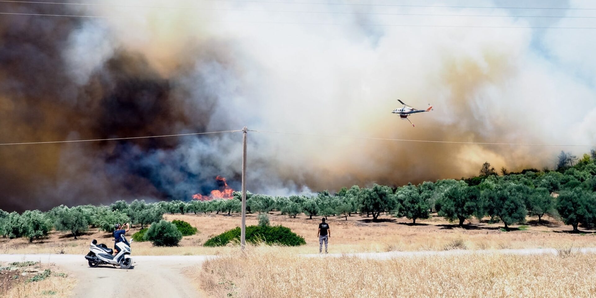 Εικόνα από τη φωτιά στον Πρόδρομο