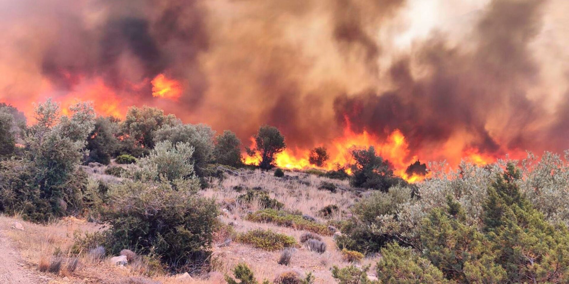 Φωτιά στη Βοιωτία