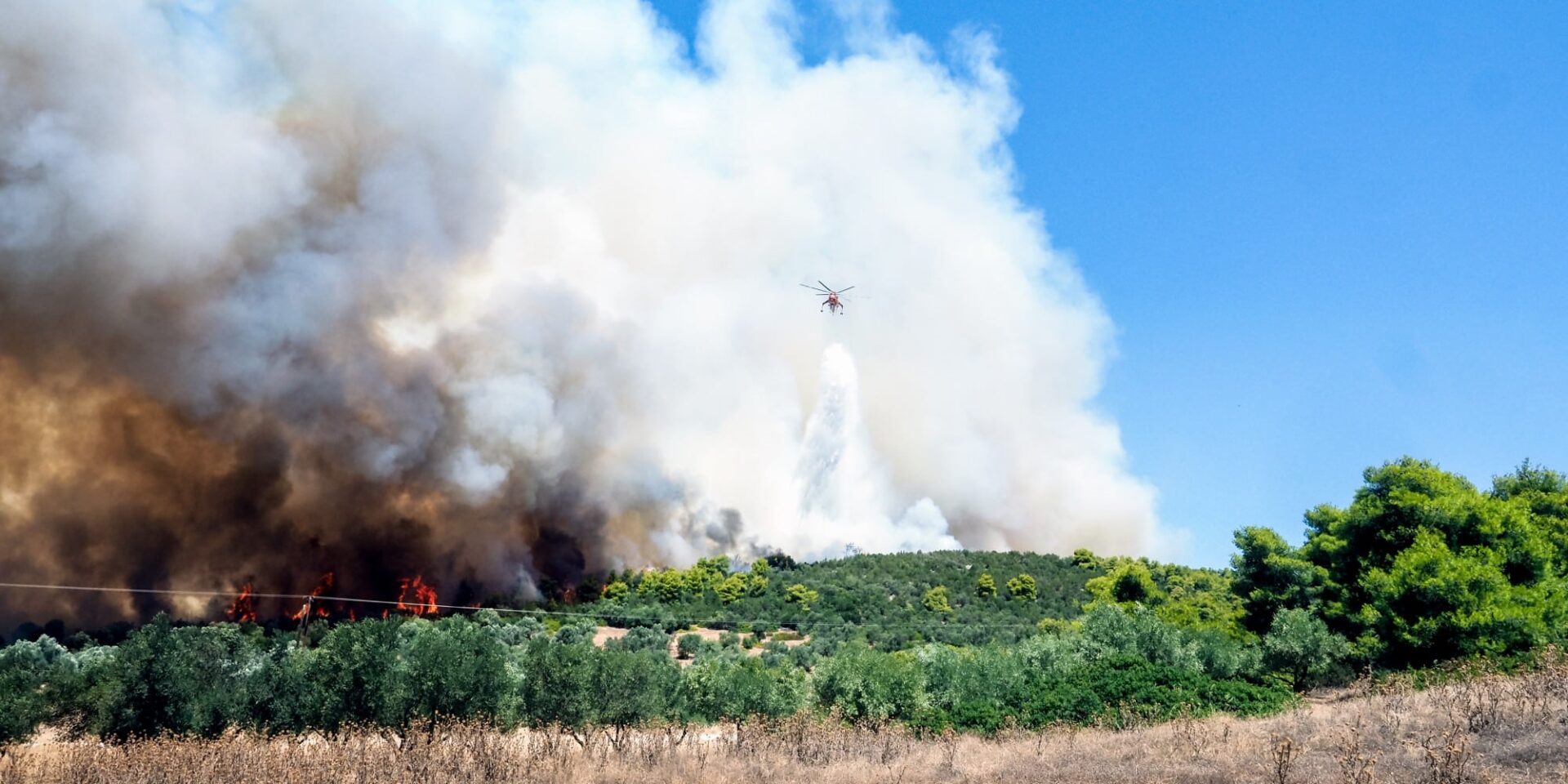 Φωτιά στα Ψαχνά Ευβοίας