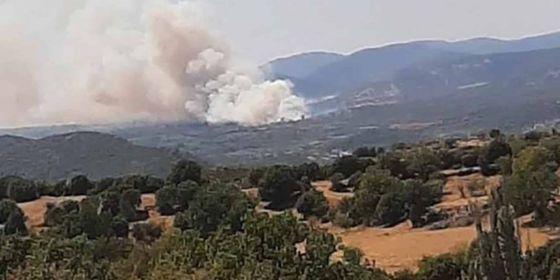 Εικόνα από τη φωτιά