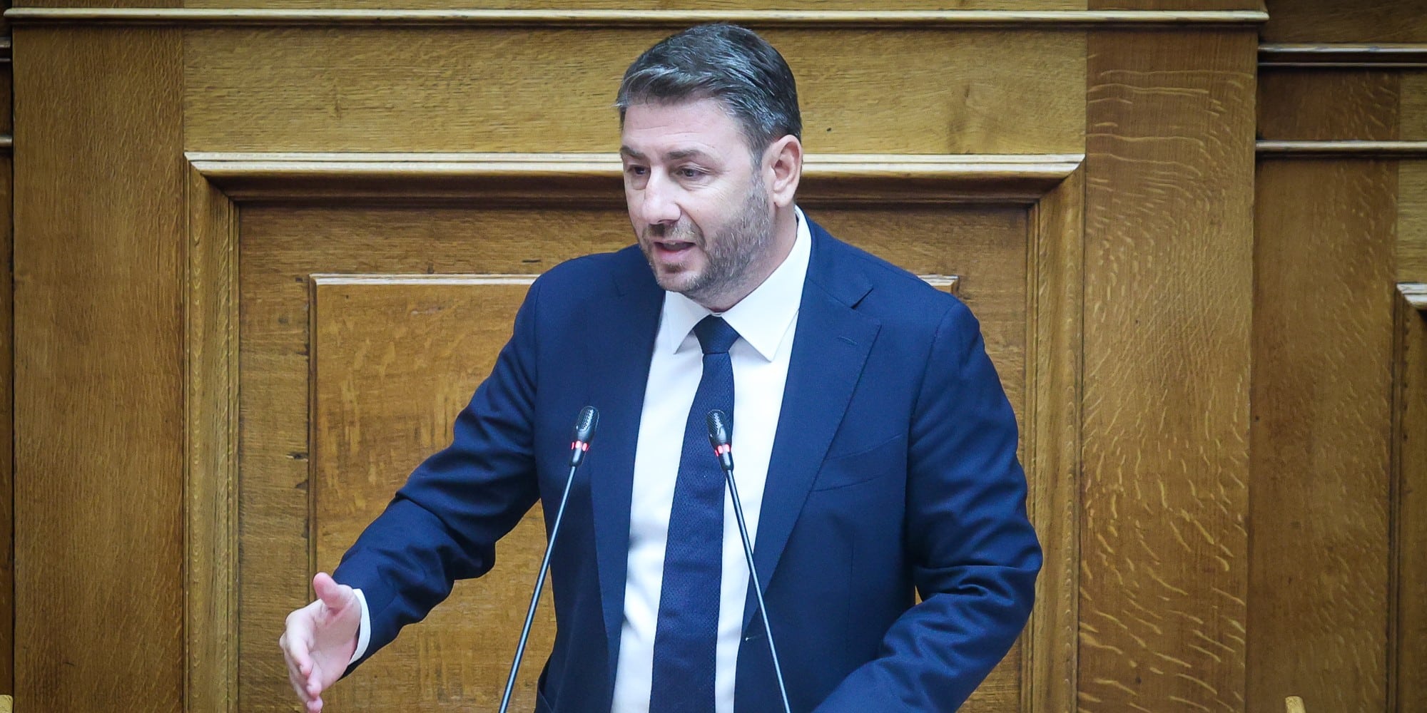 Ο Νίκος Ανδρουλάκης στην Ολομέλεια της Βουλής