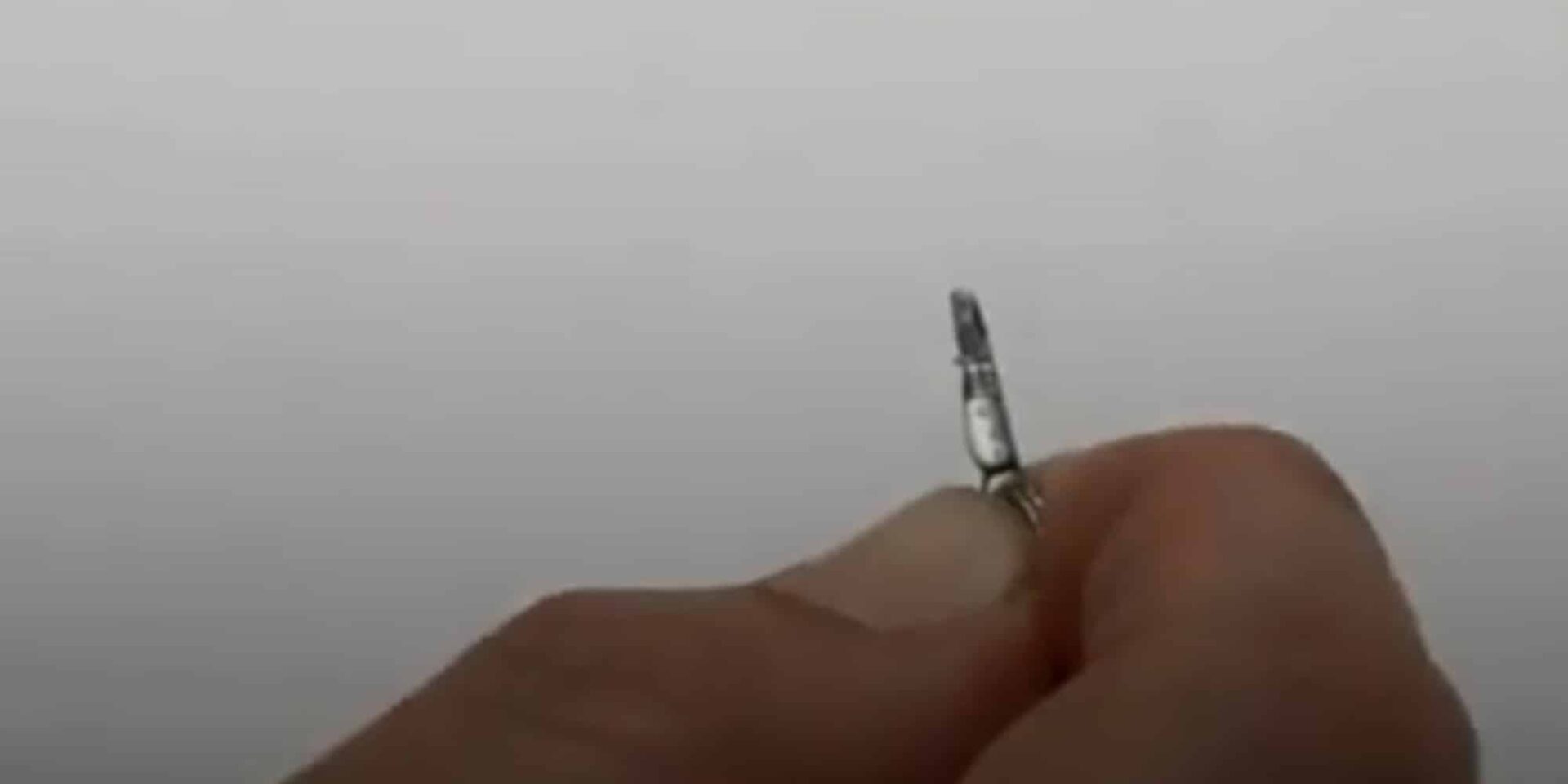O μικρότερος σούγιας στον κόσμο