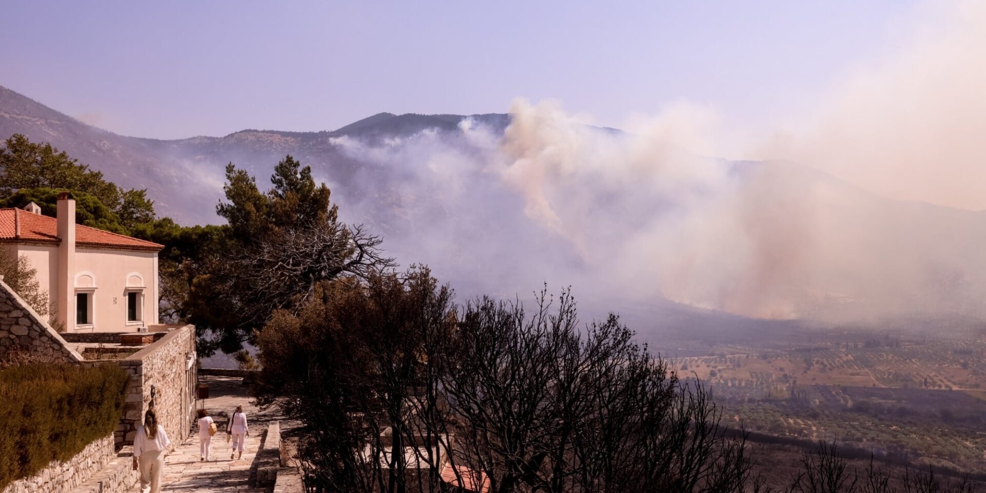 Φωτιά στη Βοιωτία