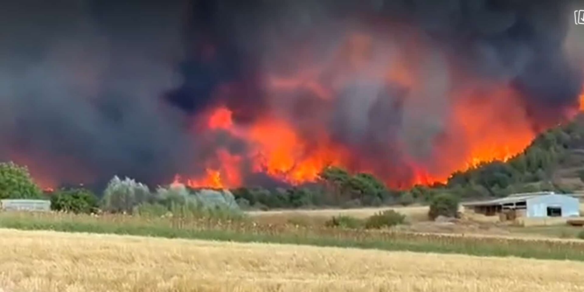 Φωτιά στην Αλεξανδρούπολη