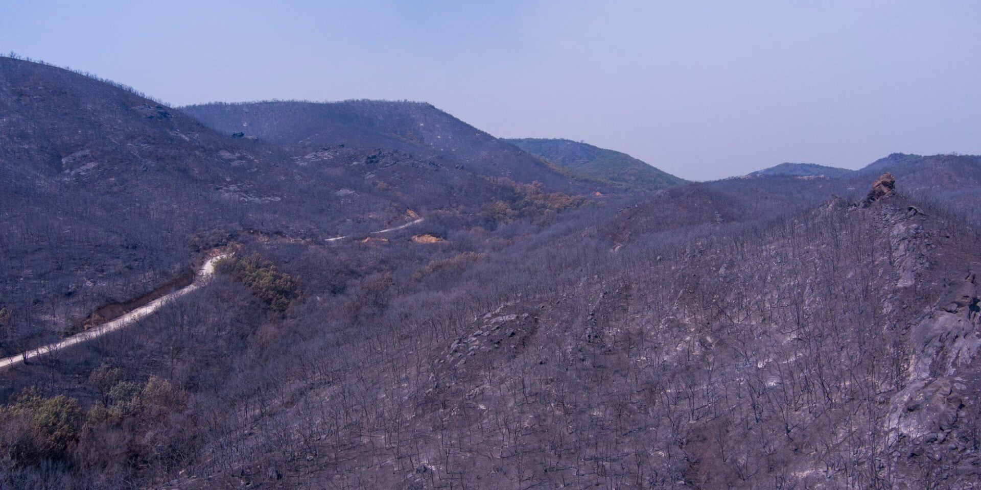 Εικόνα από τα καμένα στην Αλεξανδρούπολη