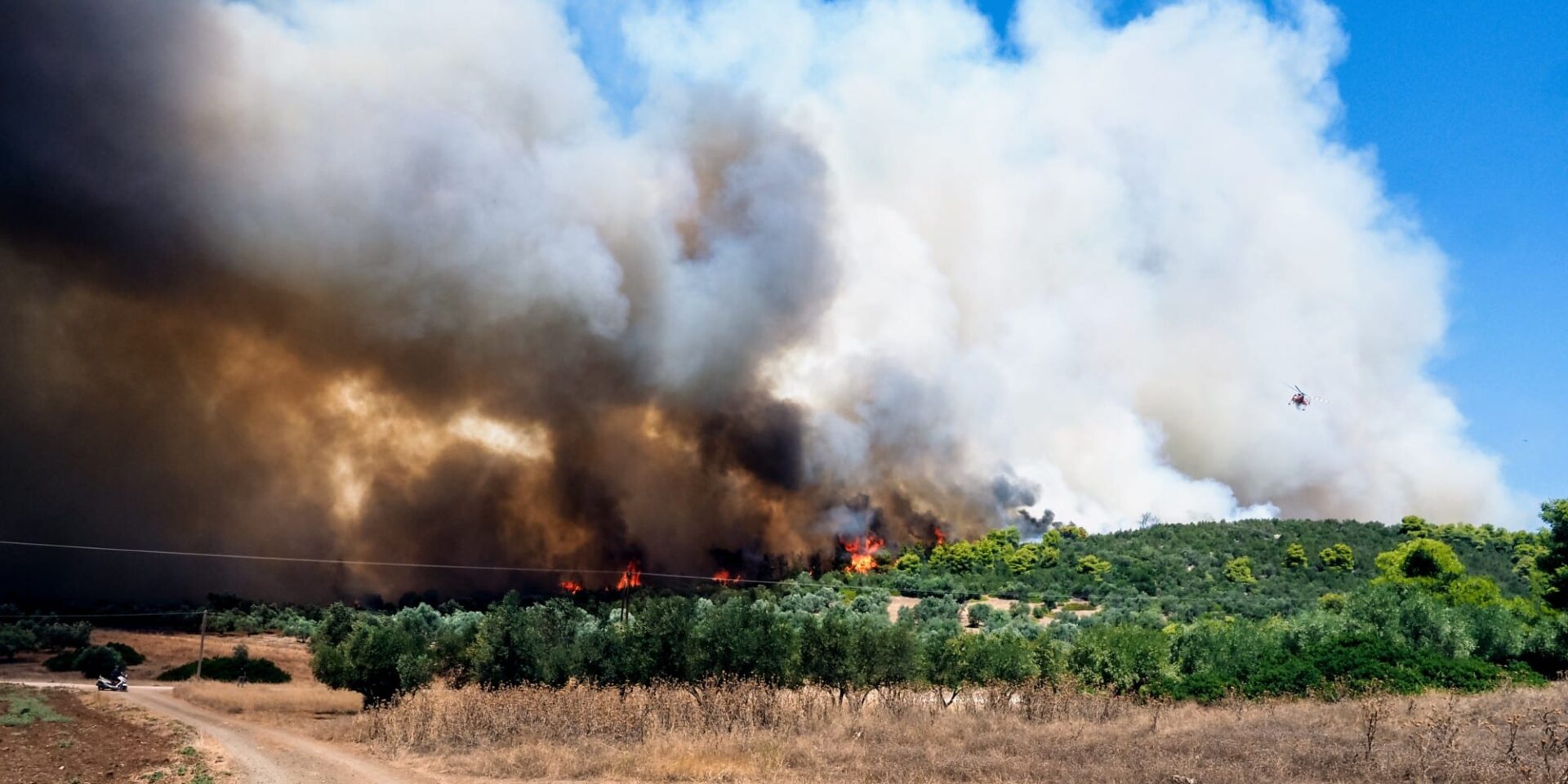 Φωτιά στα Ψαχνά Ευβοίας