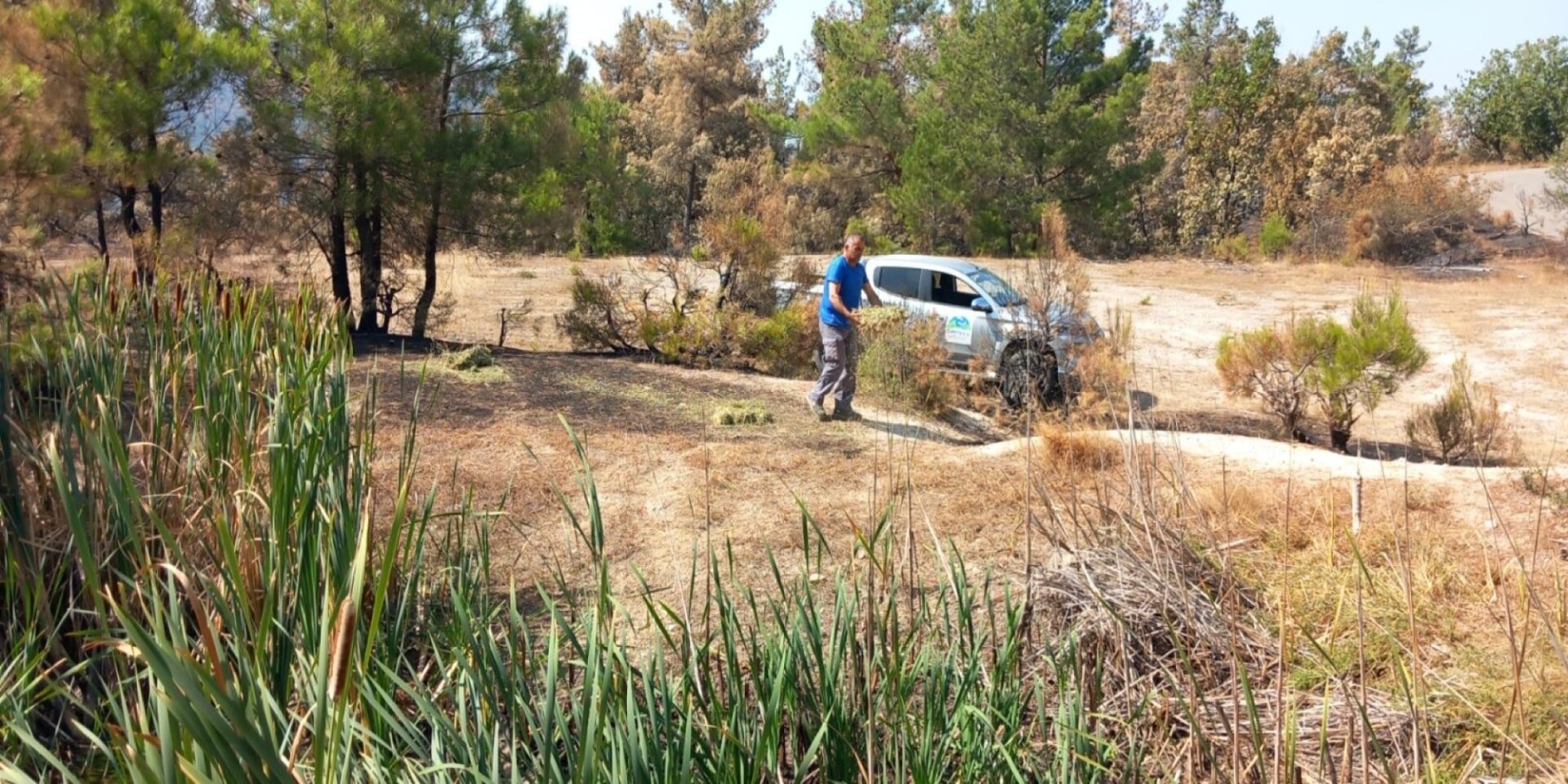 Δράσεις προστασίας της άγριας πανίδας σε Πάρνηθα και Έβρο από τον ΟΦΥΠΕΚΑ