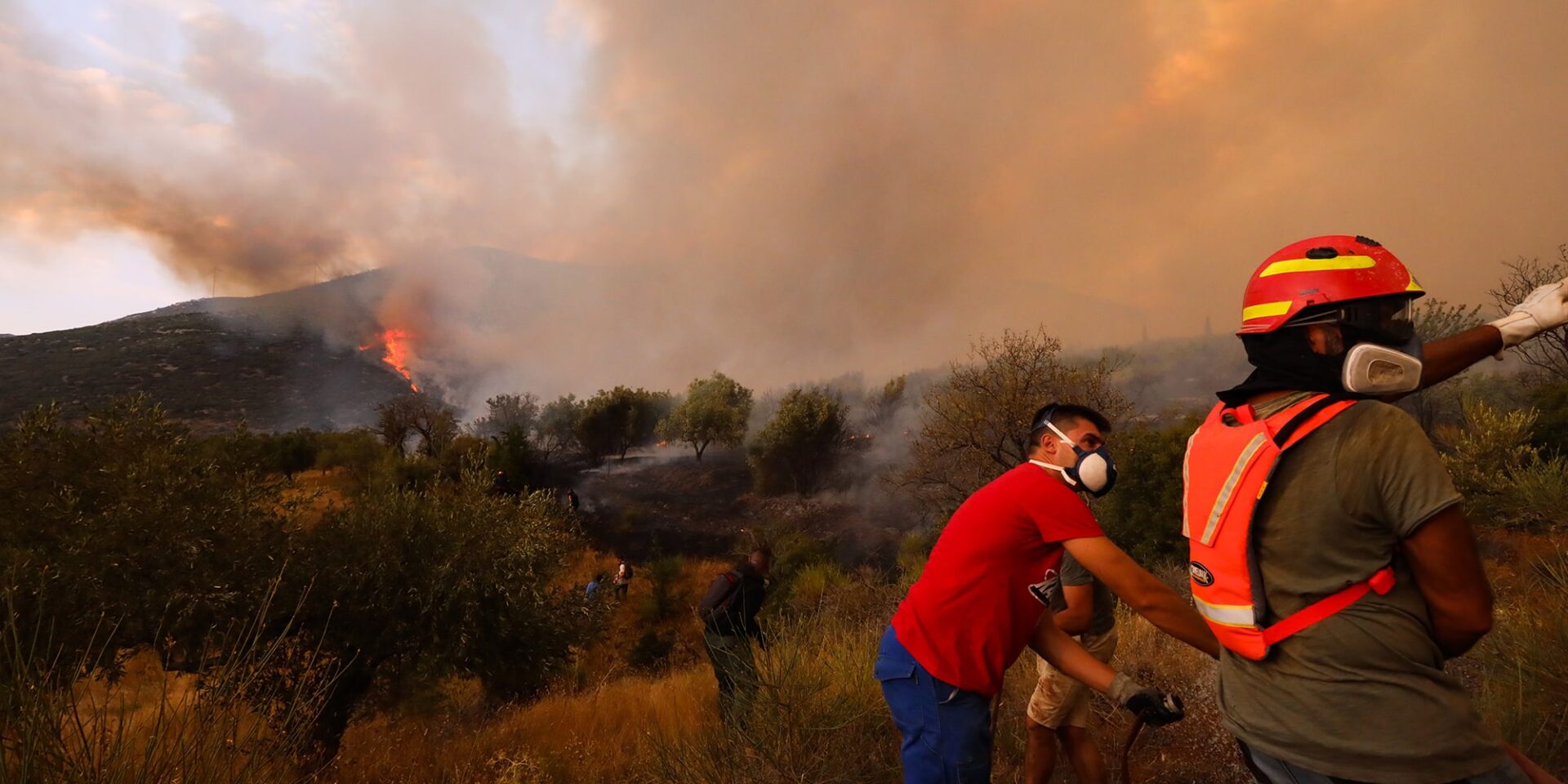 Εικόνα από τη φωτιά στη Βοιωτία