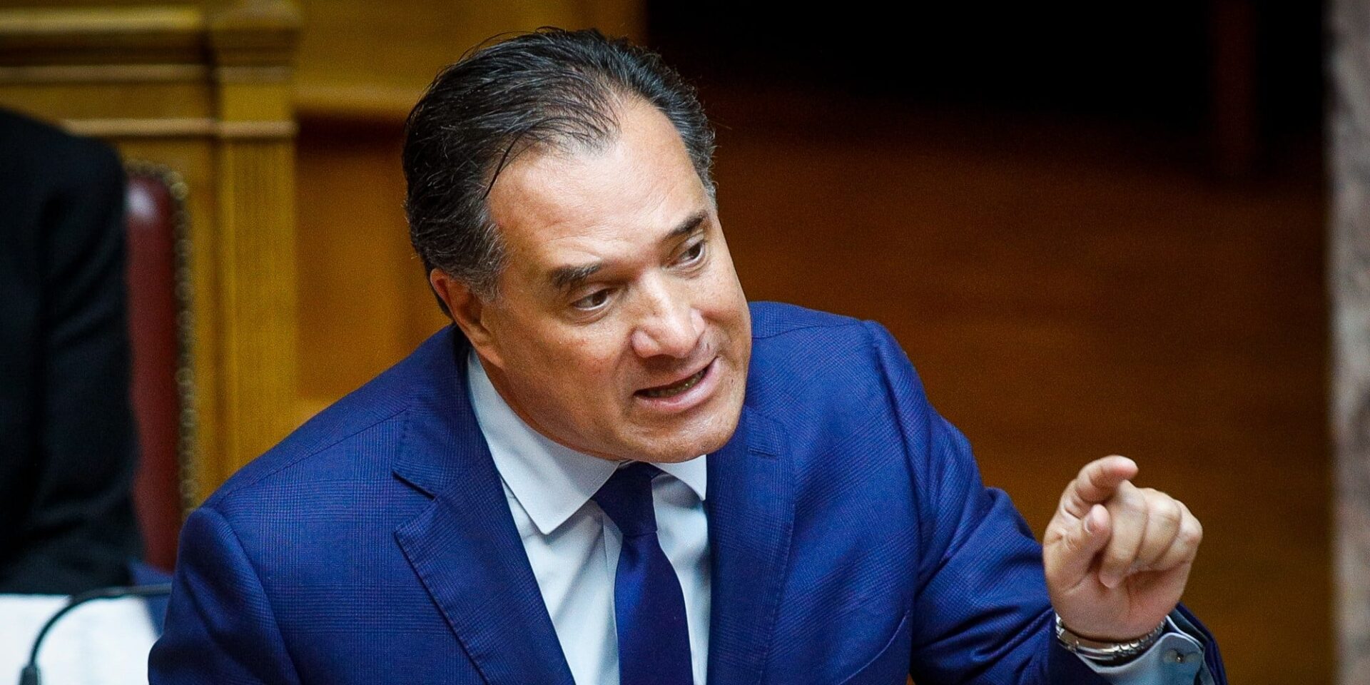 Ο Άδωνις Γεωργιάδης