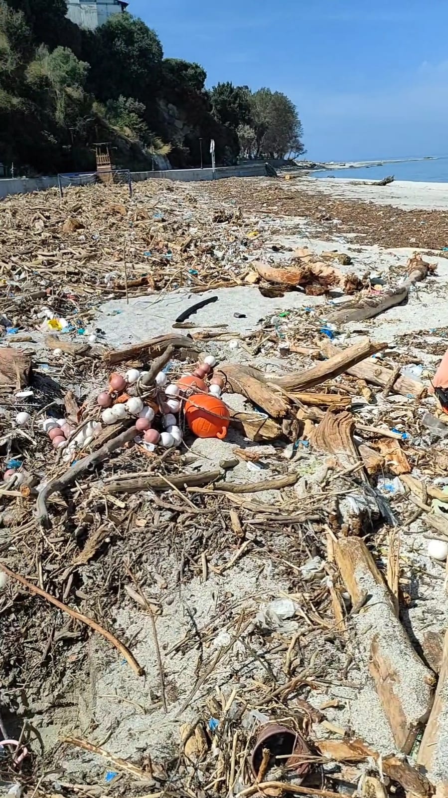 Πήλιο: Ο «Τυφώνας» που καθάρισε τις ακτές από την κακοκαιρία