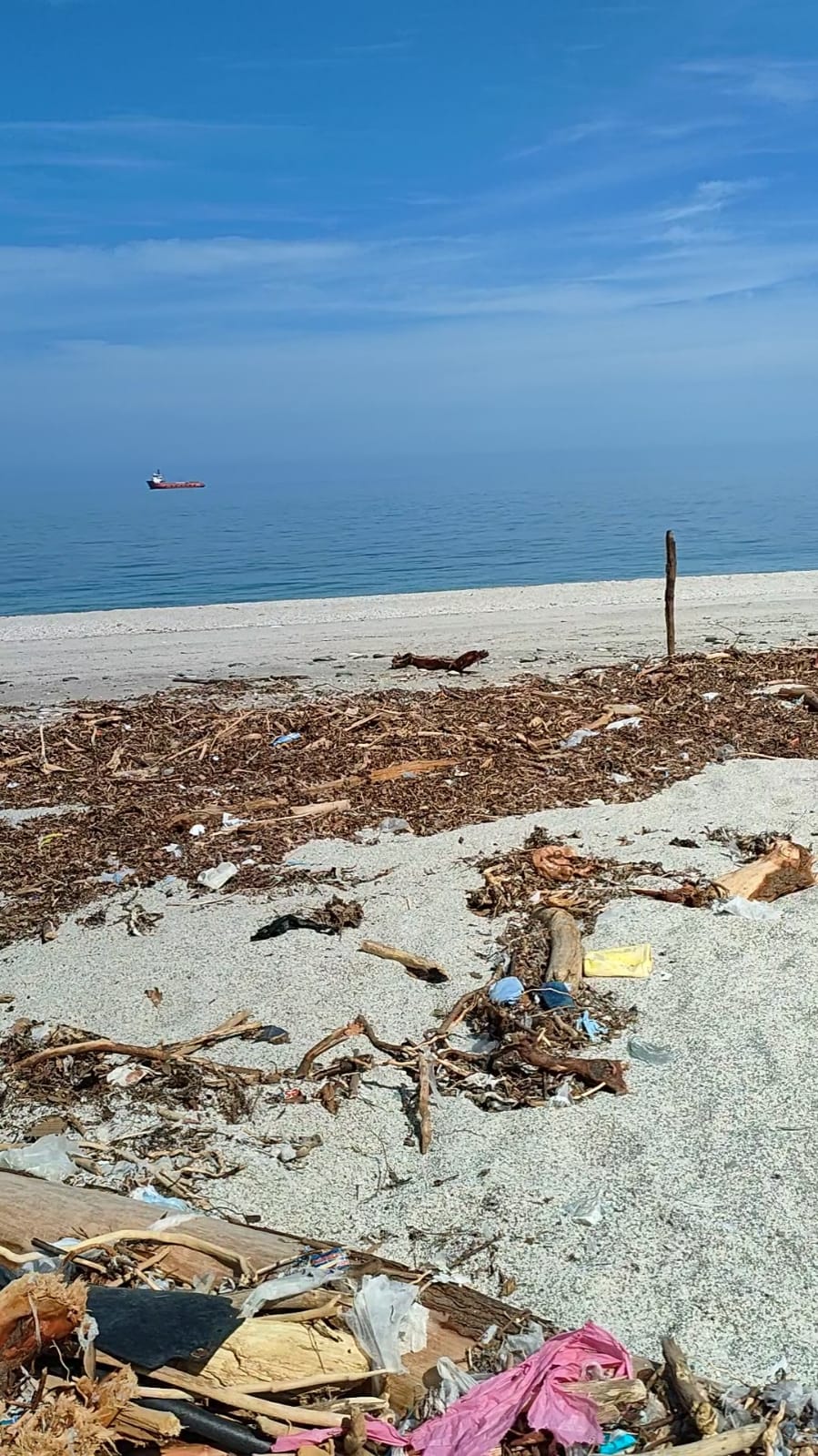 Πήλιο: Ο «Τυφώνας» που καθάρισε τις ακτές από την κακοκαιρία