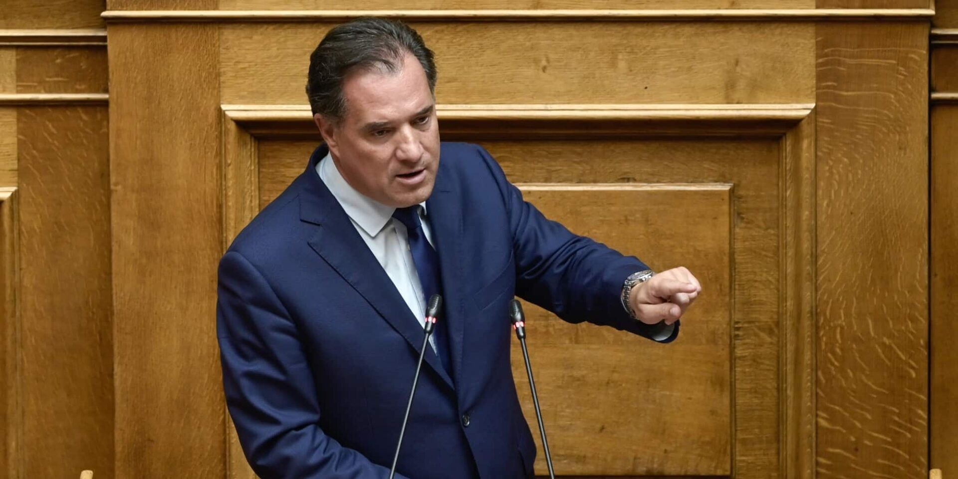 Ο Άδωνις Γεωργιάδης
