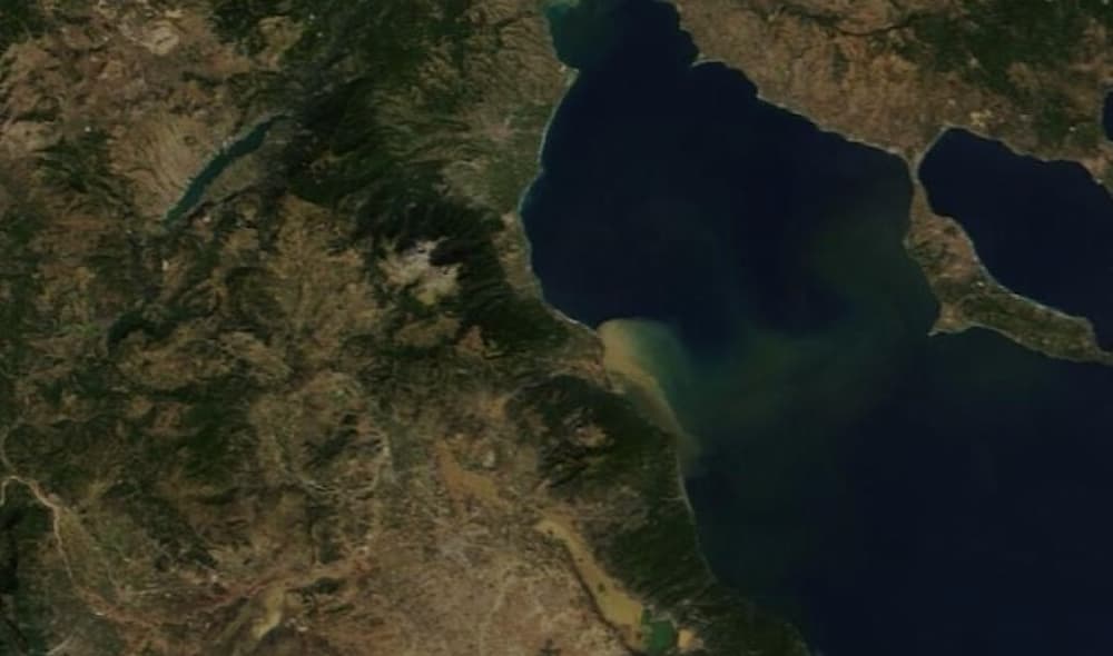 the 1 - Κακοκαιρία «Daniel»: Νεκρή αγελάδα επιπλέει στα νερά του Θερμαϊκού – Εκτιμάται ότι είναι από την περιοχή της Θεσσαλίας (βίντεο)