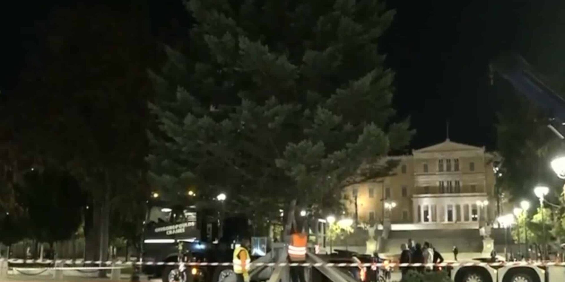 Στήθηκε το χριστουγεννιάτικο δέντρο στο Σύνταγμα