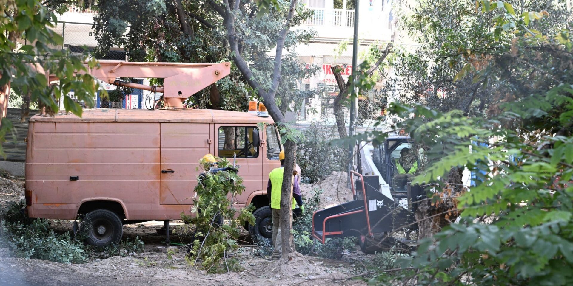 Δέντρα στα Εξάρχεια