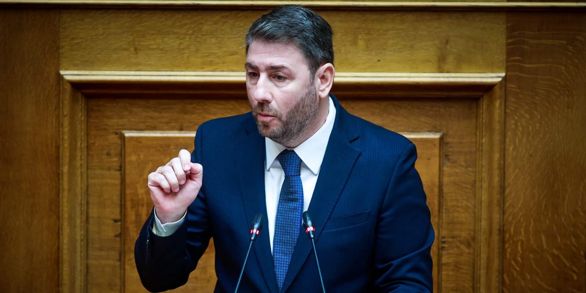 Ο Νίκος Ανδρουλάκης στην Ολομέλεια της Βουλής