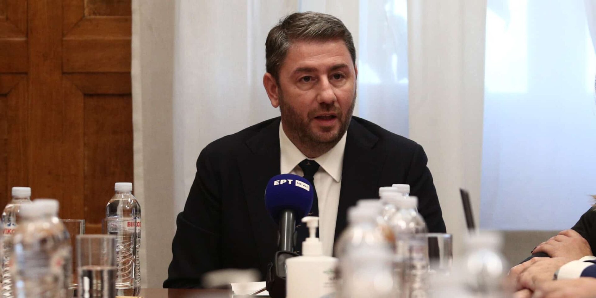 Ο Νίκος Ανδρουλάκης