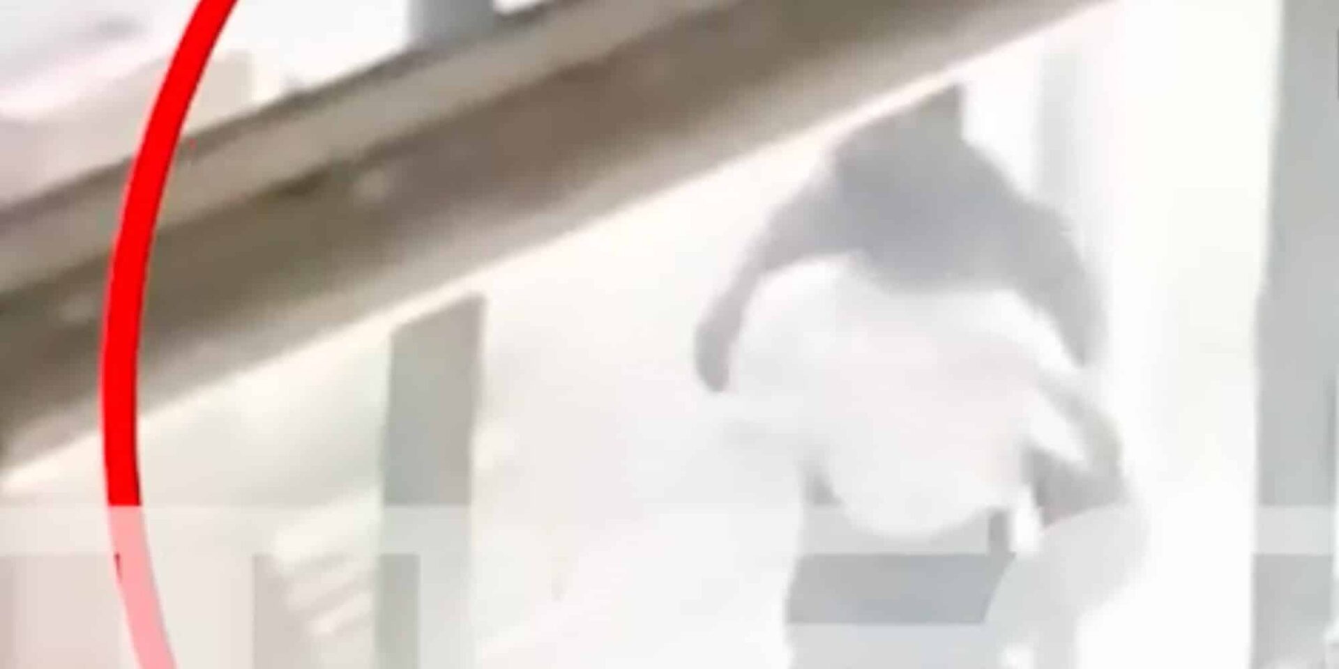 Νεοναζί γρονθοκοπούν νεαρή στο Μοναστηράκι