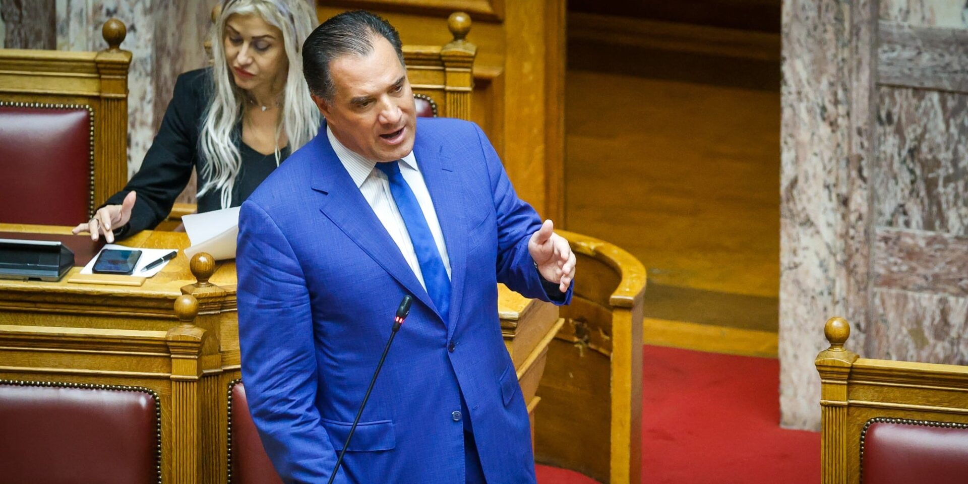 Ο Άδωνις Γεωργιάδης
