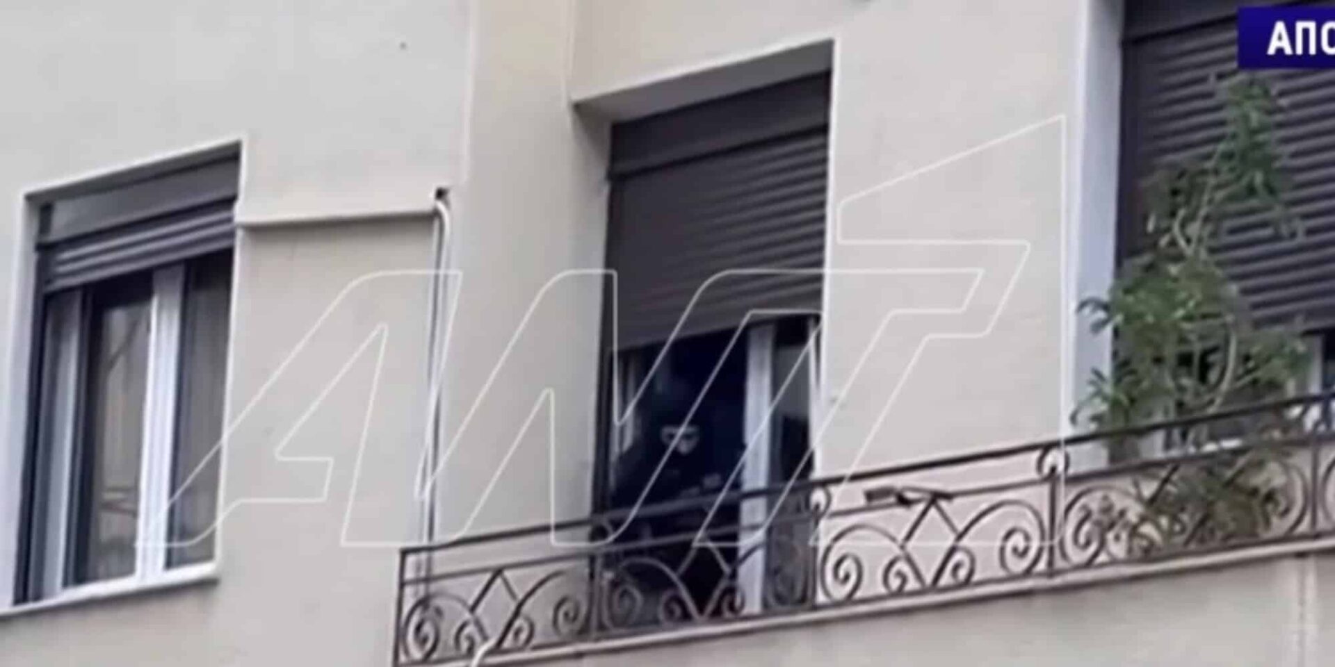 Η στιγμή που η αστυνομία πιάνει τον δράστη