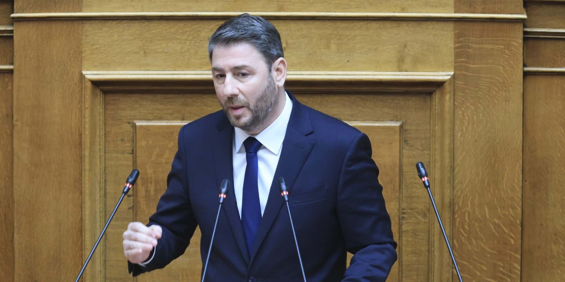 Ο Νίκος Ανδρουλάκης στην Ολομέλεια της Βουλής