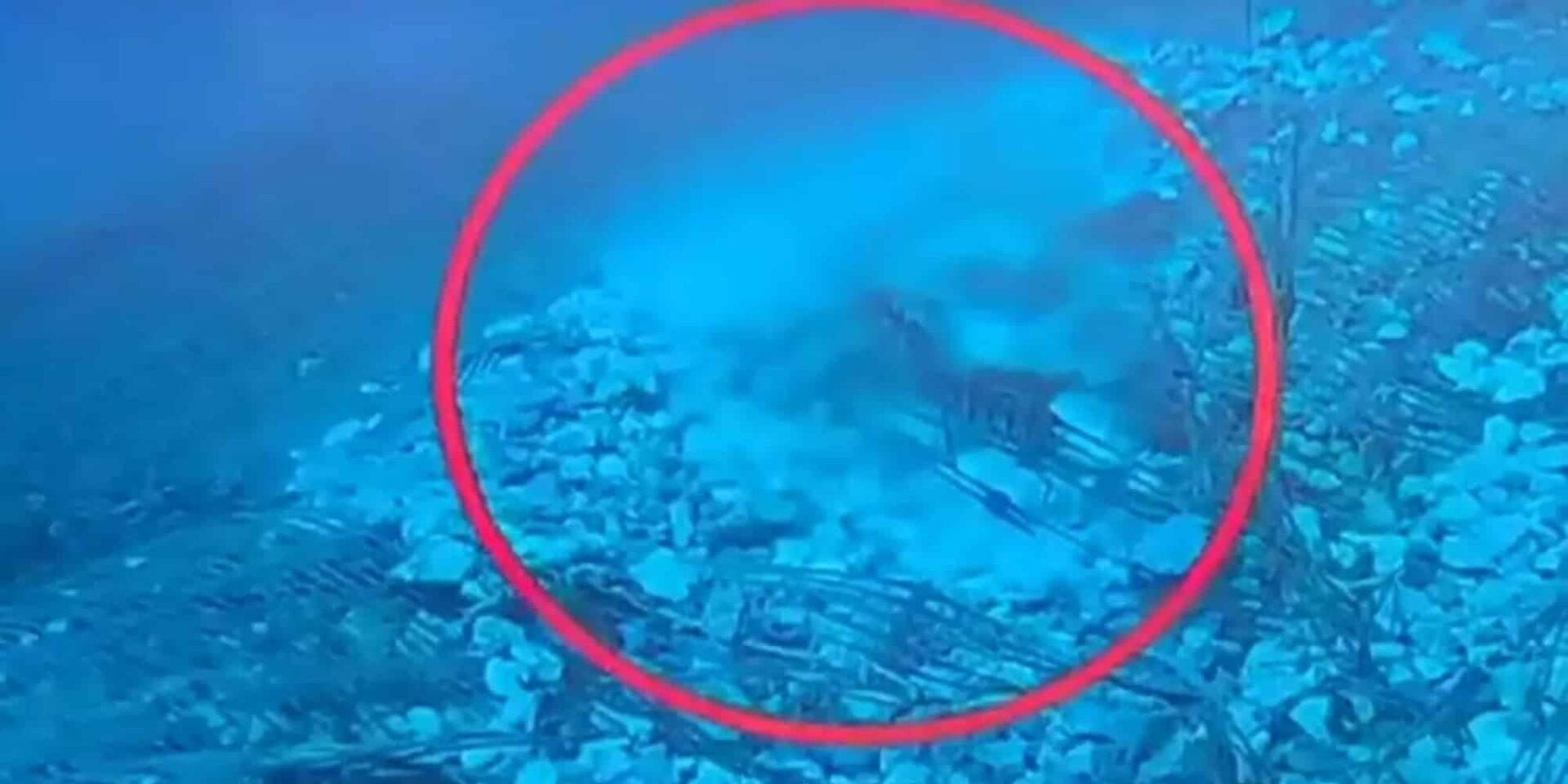 Βίντεο ντοκουμέντο από την δολιοφθορά στον υποθαλάσσιο αγωγό ύδρευσης στην Αίγινα