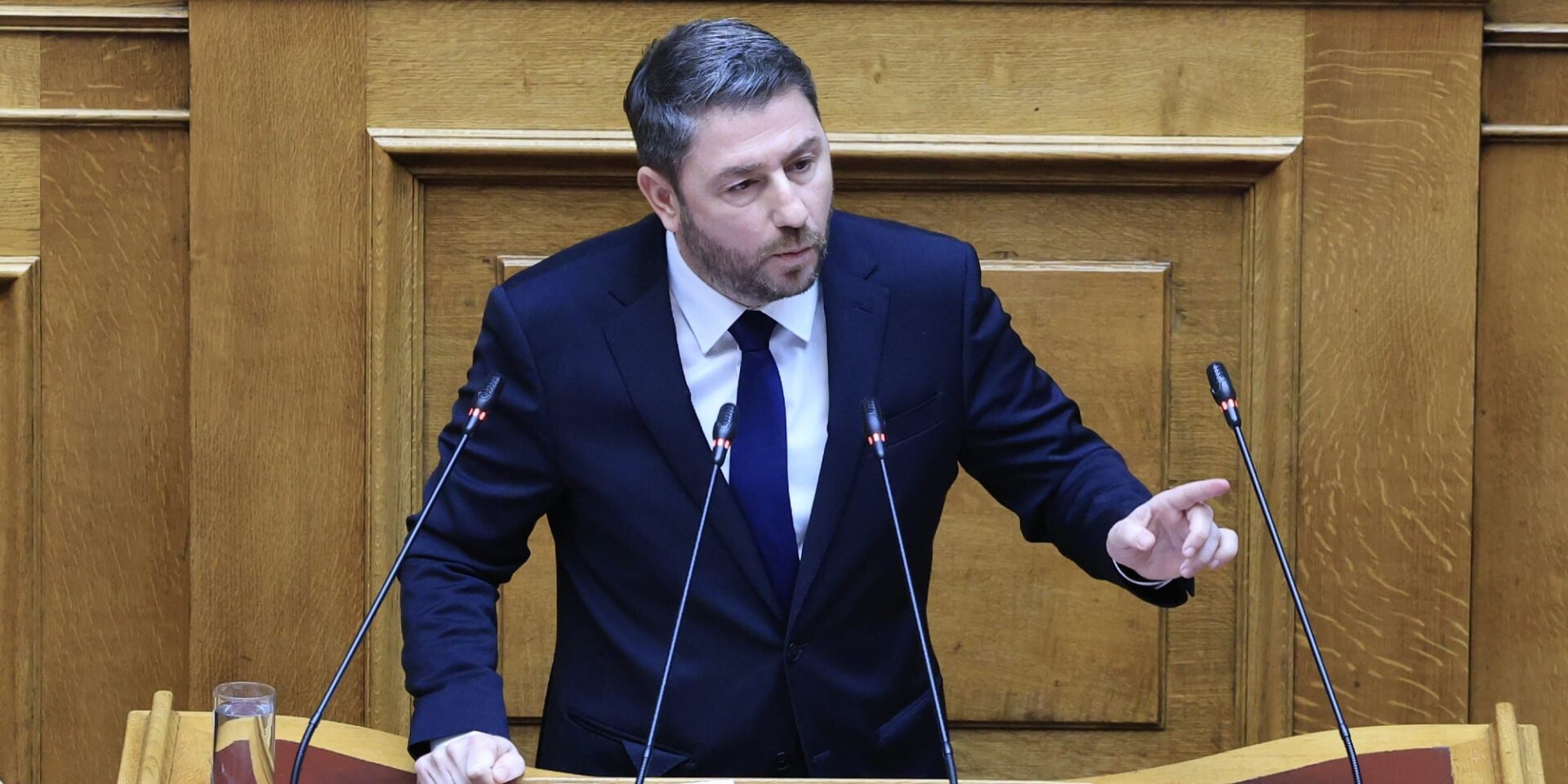 Ο Νίκος Ανδρουλάκης στην Ολομέλεια της Βουλής