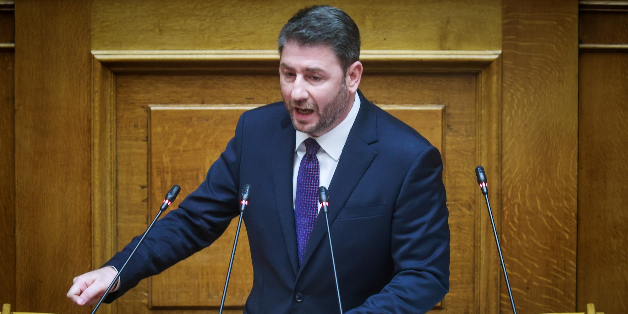 Ο Νίκος Ανδρουλάκης στη Βουλή