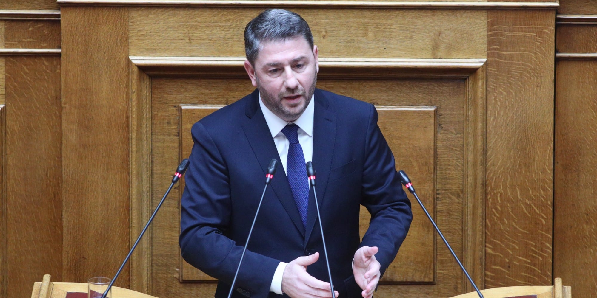 Ο Νίκος Ανδρουλάκης στην Ολομέλεια της Βουλής