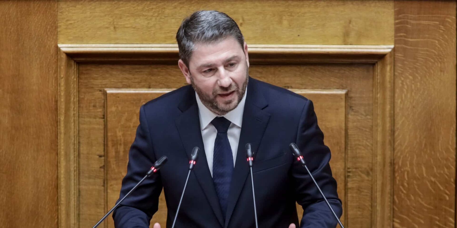 Ο Νίκος Ανδρουλάκης στην Ολομέλεια της Βουλής