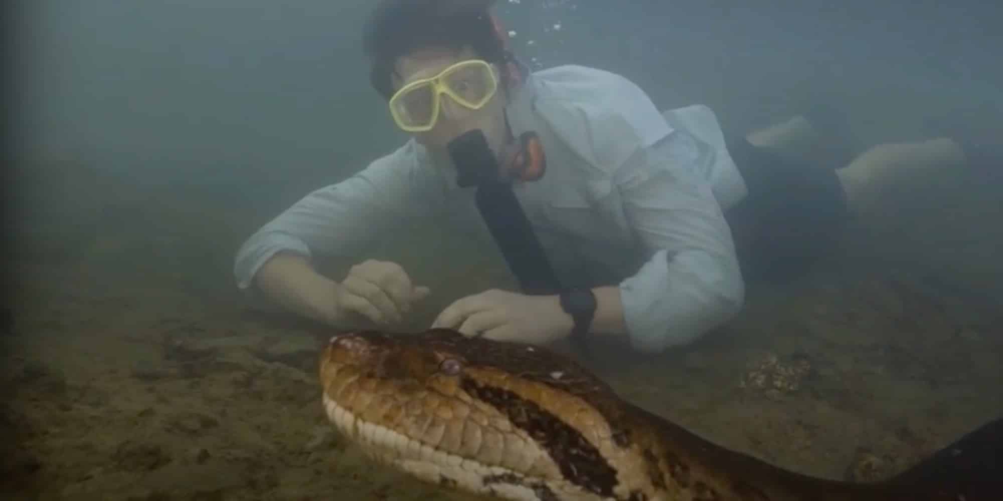 Ανακαλύφθηκε το μεγαλύτερο φίδι στον κόσμο στον Αμαζόνιο