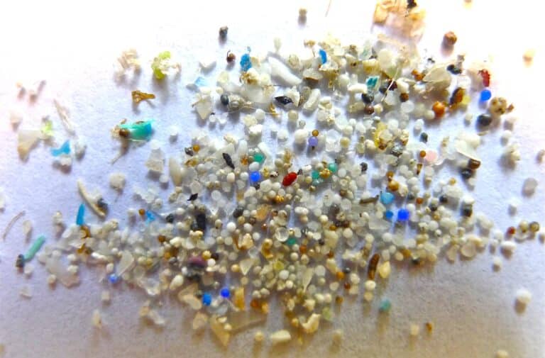 plastiko - Νέα μελέτη αποκαλύπτει τις επιπτώσεις των μικροπλαστικών στον ανθρώπινο οργανισμό