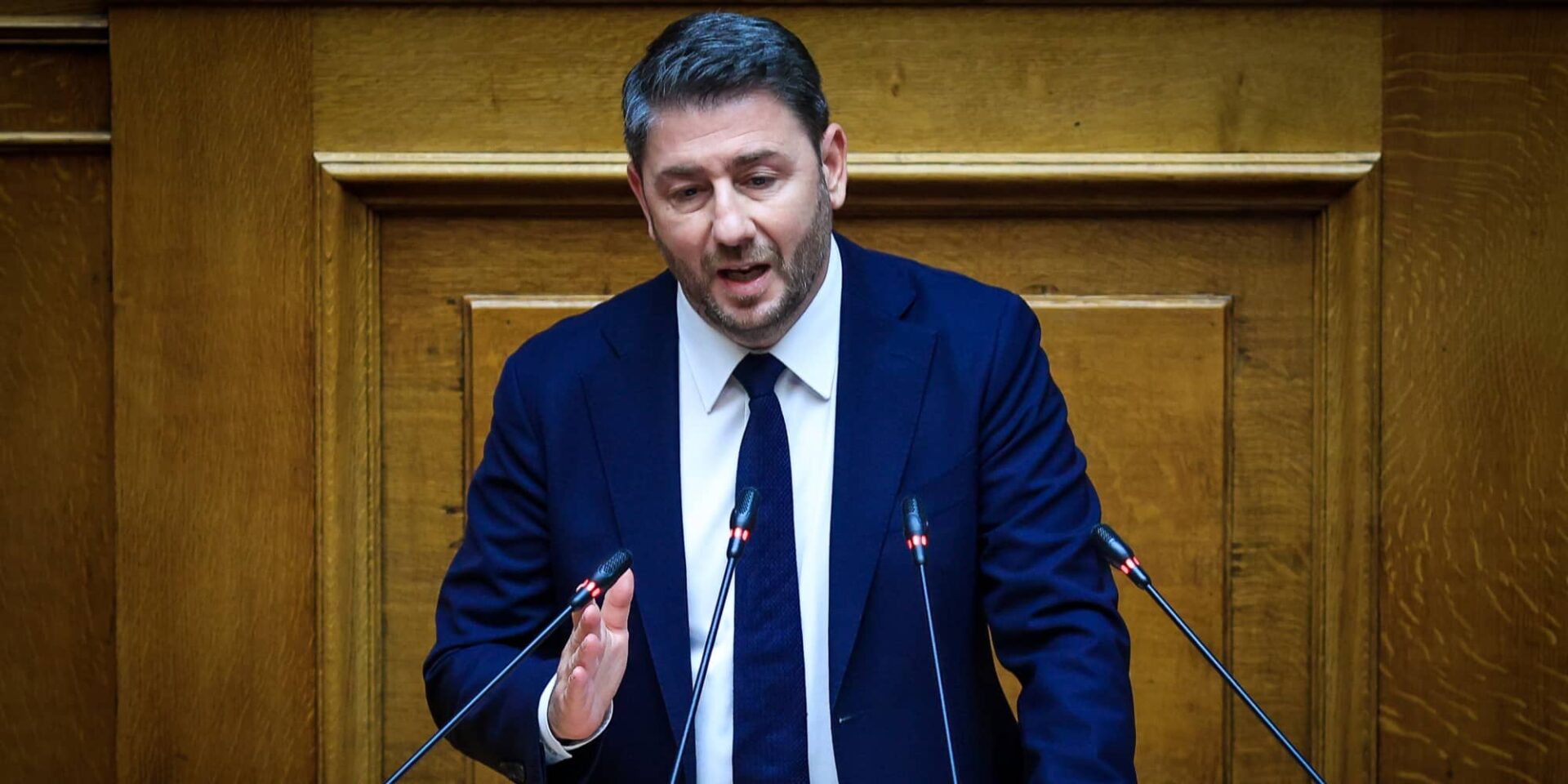 Ο Νίκος Ανδρουλάκης