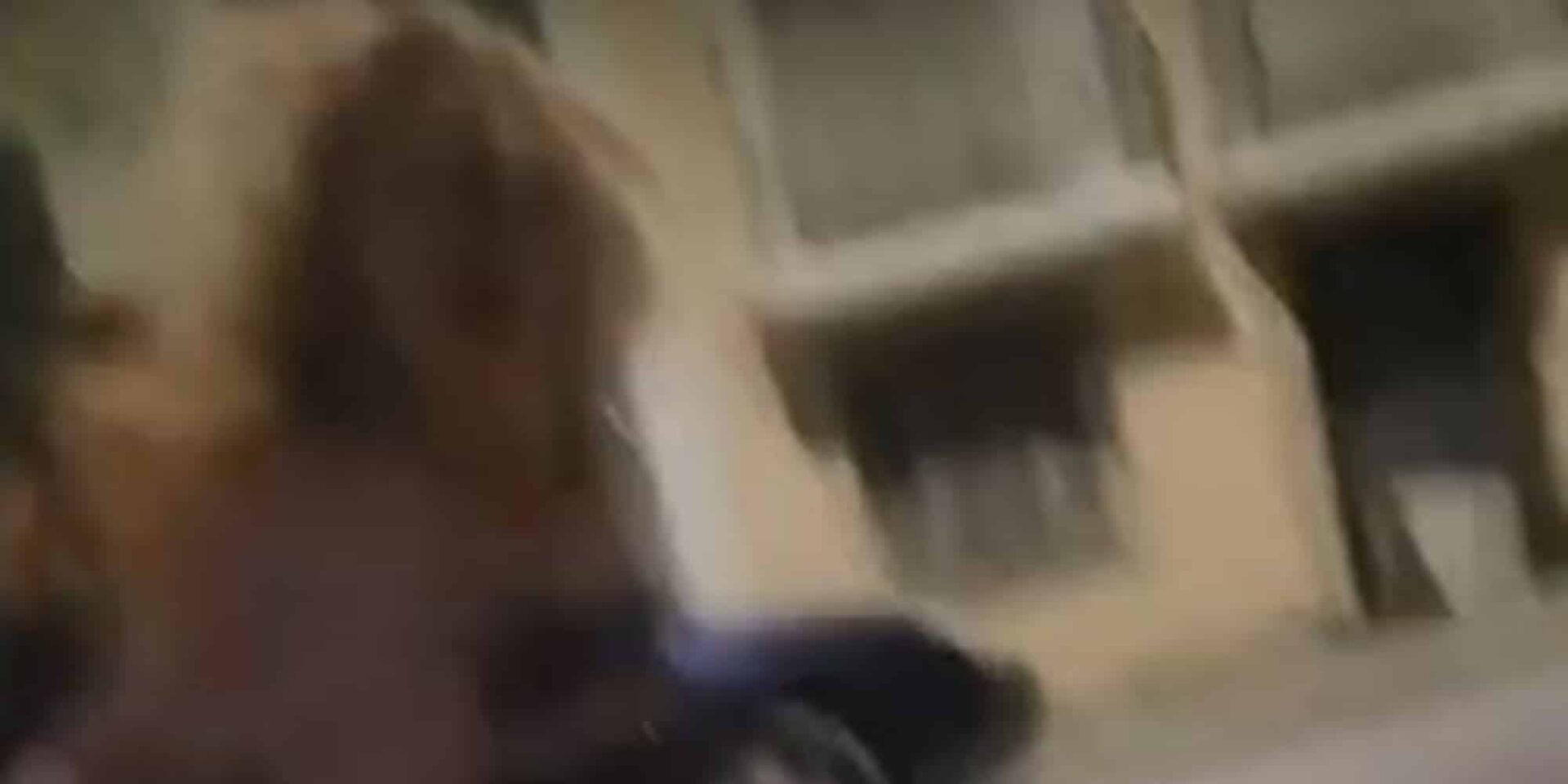 Η κοπέλα που πήδηξε από το παράθυρό της στην Πάτρα