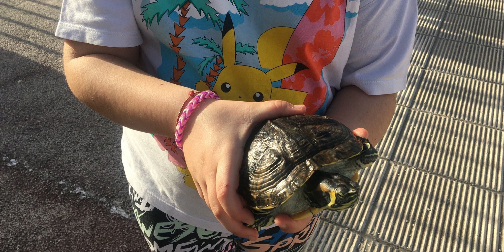 Παιδί στο σχολείο του στο Ηράκλειο με χελώνα στα χέρια