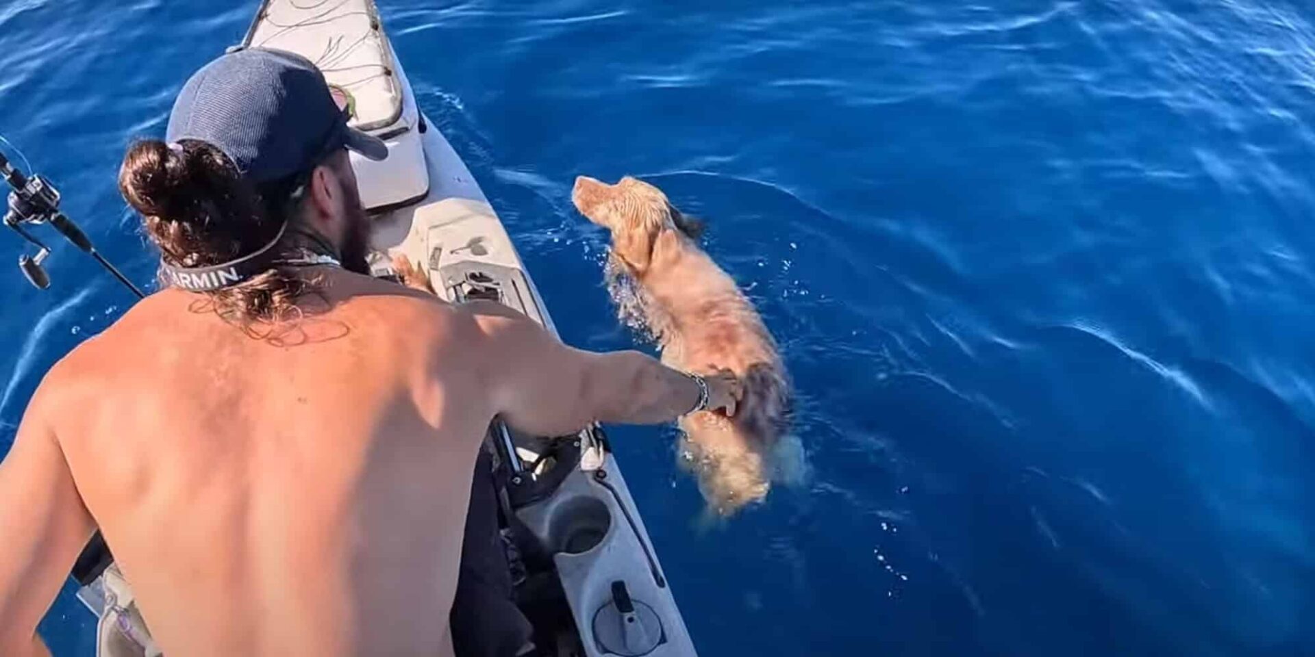 Η στιγμή που ο άνδρας σώζει τον σκύλο